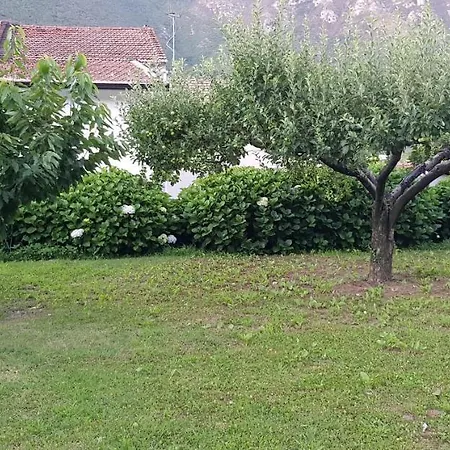 Сasa de vacaciones Apicella Casa Vacanze Tramonti